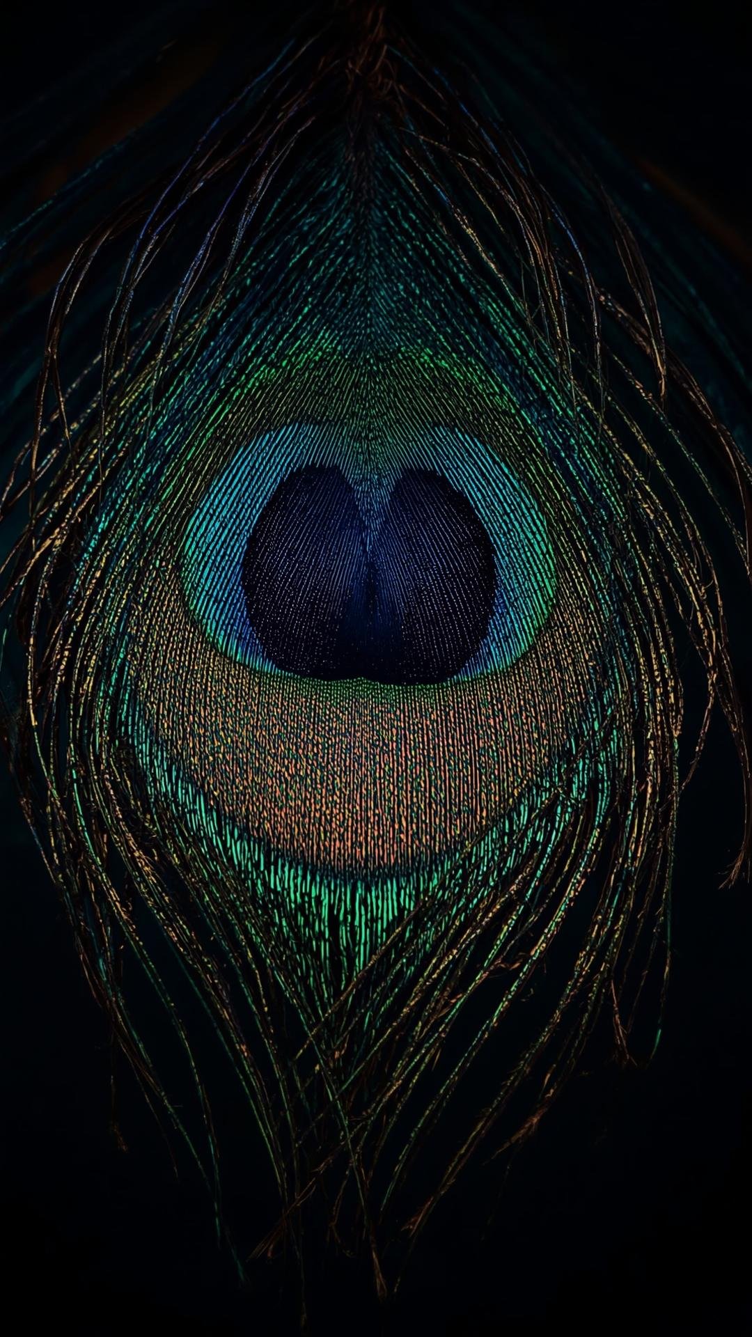 Download Free 4K Peacock Feather Wallpaper loading=