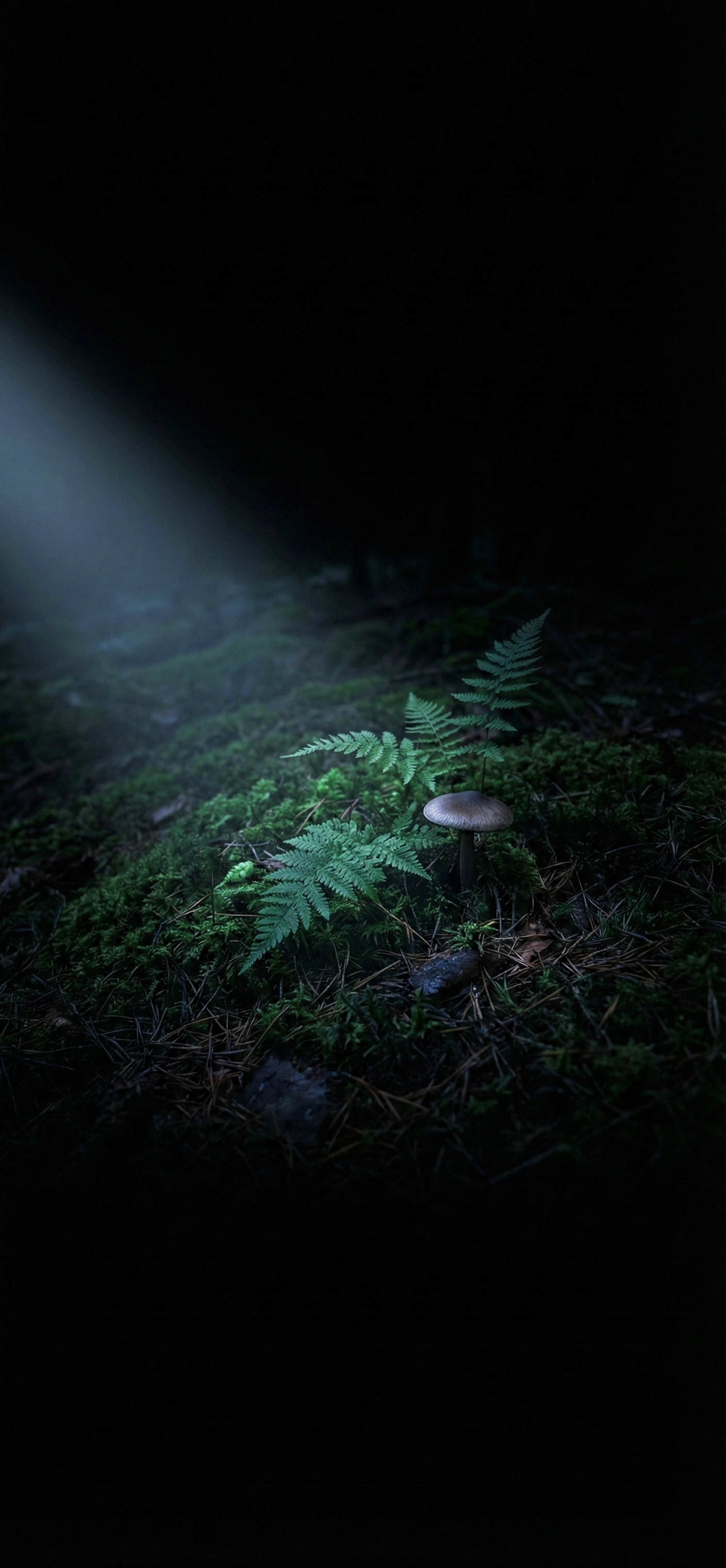 Dark Nature Wallpaper 4k Hd HD 4K wallpaper for mobile and desktop, free HD background download for iPhone and laptop - FreezyStock