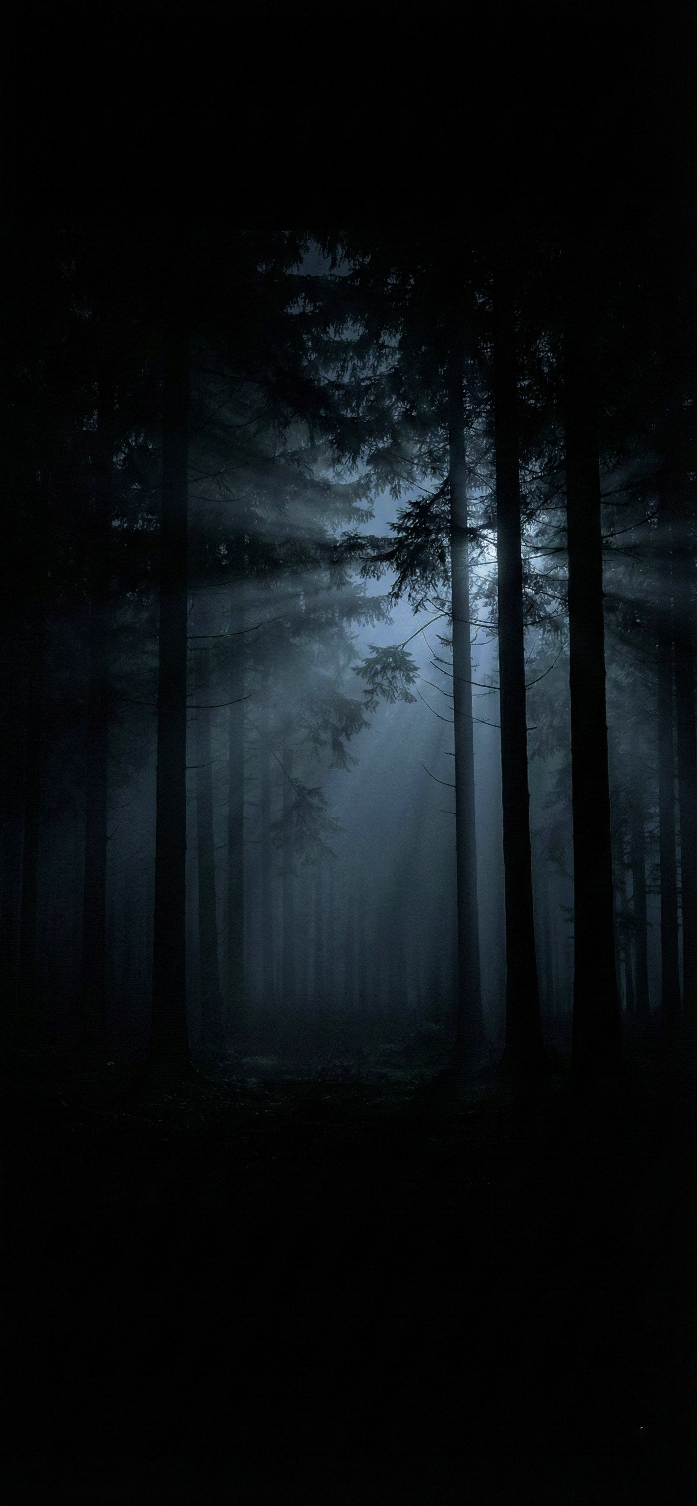 Dark Nature Wallpaper 4k HD 4K wallpaper for mobile and desktop, free HD background download for iPhone and laptop - FreezyStock