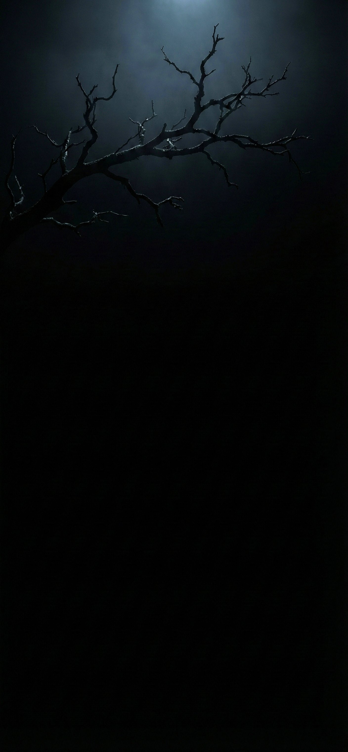 Dark Sky Nature Wallpaper Hd HD 4K wallpaper for mobile and desktop, free HD background download for iPhone and laptop - FreezyStock