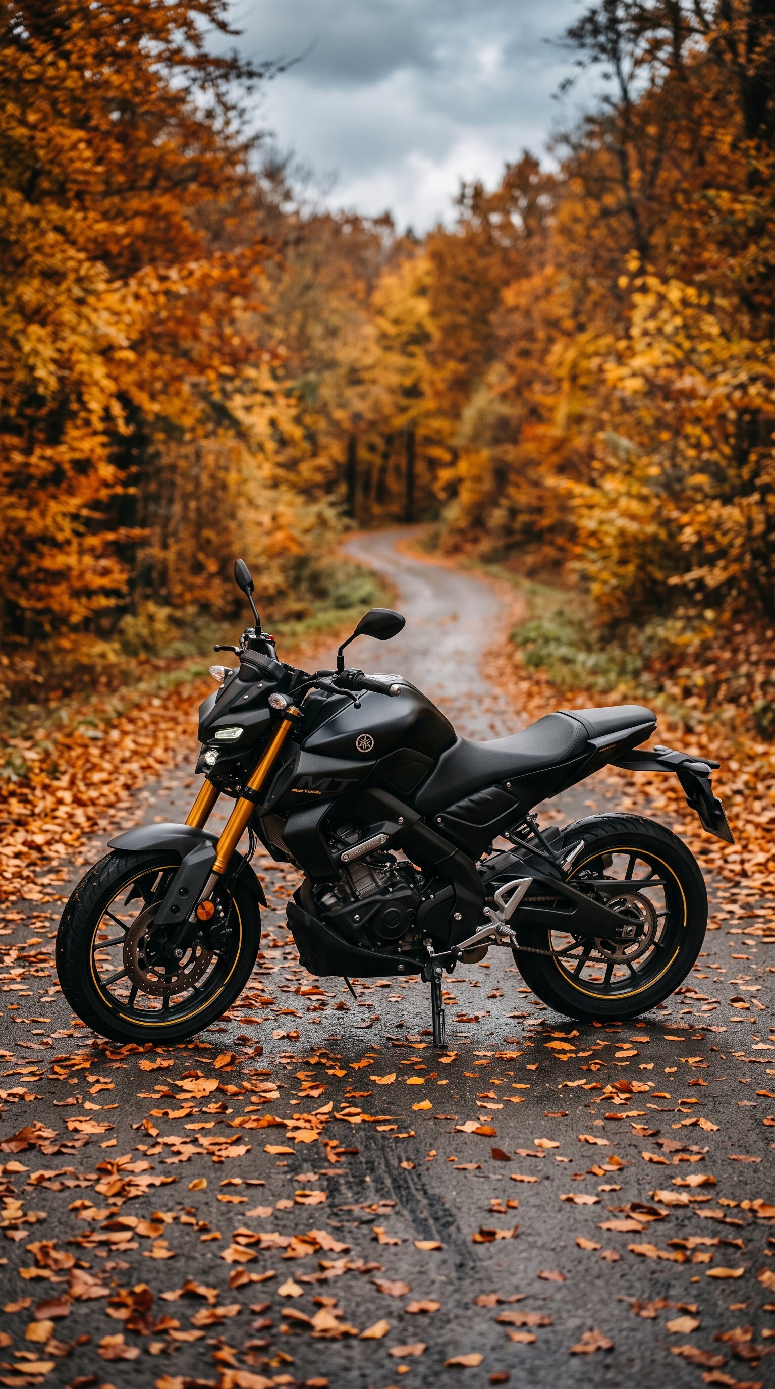 Download this beautiful Matte Black Mt 15 Parked Wallpaper wallpaper available in 21. Whether you need a fresh desktop backgr